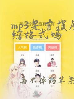 mp3是有损压缩格式吗