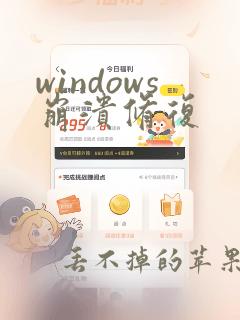 windows崩溃修复