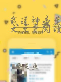 武道神帝叶辰全文免费阅读无弹窗