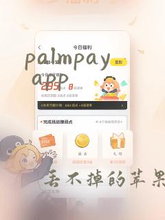 palmpay app