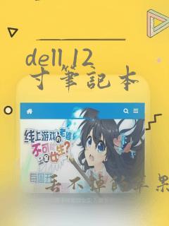 dell 12寸笔记本