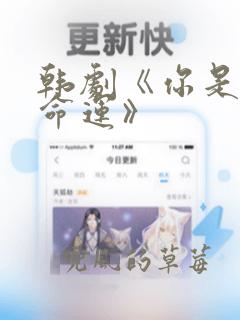 韩剧《你是我的命运》