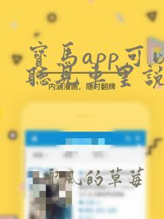 宝马app可以听见车里说话吗