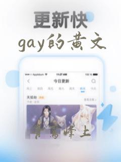 gay的黄文