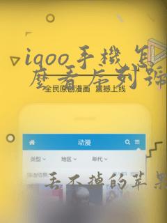 iqoo手机怎么看序列号