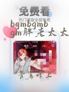 bgmbgmbgm胖老太太dv