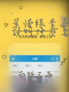 叶惜缘李长明小说叫什么名字