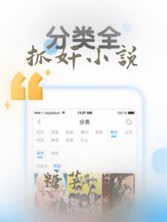 抓奸小说