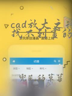 cad放大之后找不到画的图了