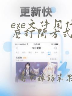 exe文件用什么打开方式