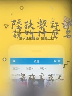 陆扶黎许沐娆小说叫什么名字