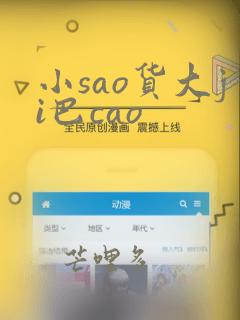 小sao货大ji巴cao