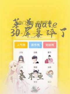 华为mate 30屏幕碎了