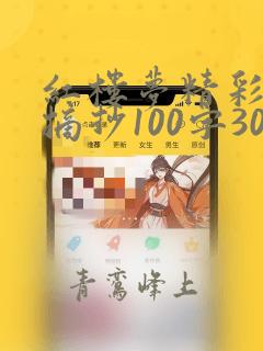 红楼梦精彩片段摘抄100字30篇