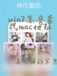 win7怎么查找mac地址