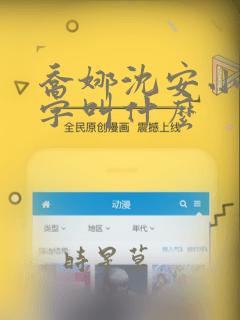 乔娜沈安小说名字叫什么