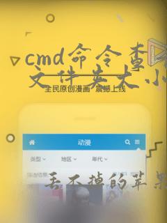 cmd命令查看文件夹大小