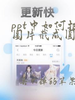 ppt中如何把图片截成圆形