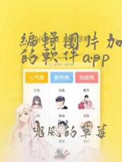 编辑图片加文字的软件app