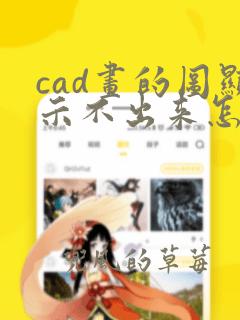 cad画的图显示不出来怎么办