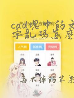 cad块中的文字乱码怎么办