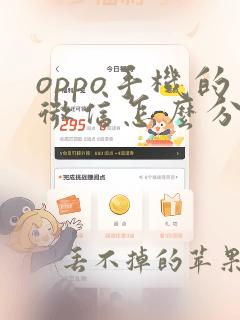 oppo手机的微信怎么分身