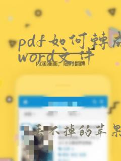 pdf如何转成word文件