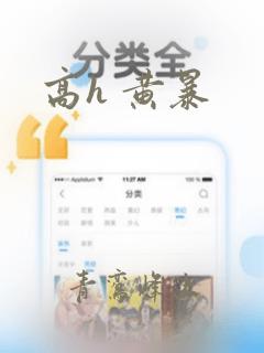 高h 黄暴