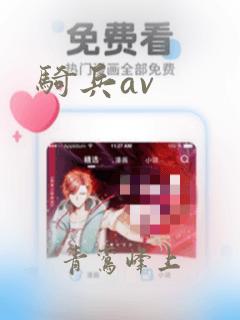 骑兵av