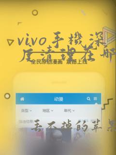 vivo手机深度清理在哪