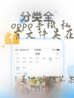 oppo手机私有文件夹在哪