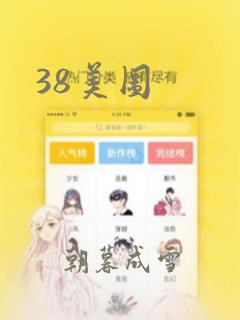 38美图