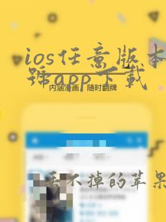 ios任意版本号app下载