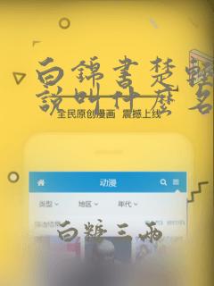 白锦书楚轻臣小说叫什么名字