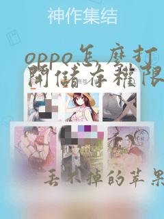 oppo怎么打开储存权限