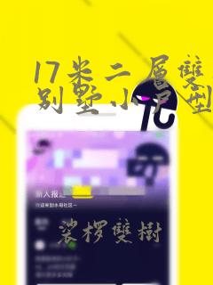 17米二层双拼别墅小户型