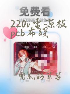 220v电源板pcb布线