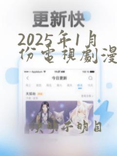 2025年1月份电视剧漫漫看