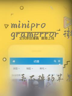 miniprogramerror 微信小程序