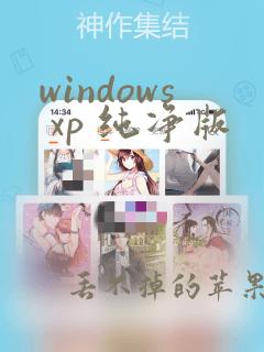 windows xp 纯净版