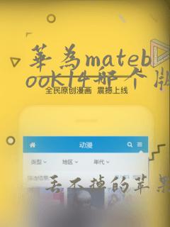 华为matebook14哪个版本性价比高