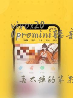 vivox200promini听音乐音质怎么样