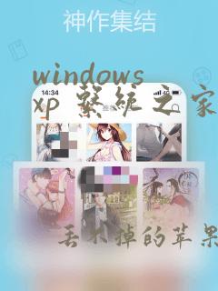 windowsxp 系统之家