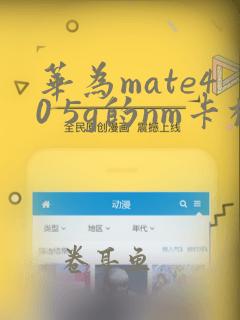 华为mate40 5g的nm卡槽支持sim卡吗