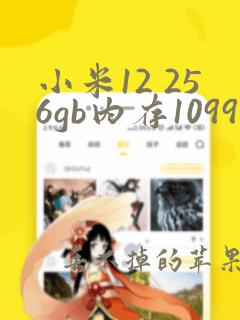 小米12 256gb内存1099元是哪款平板