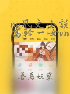 np凰文小说 高干一女vn男