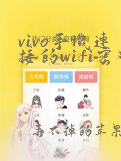 vivo手机连接的wifi密码怎么查看