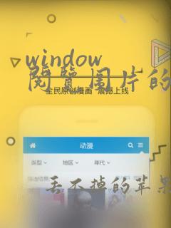 window 阅览图片的软件