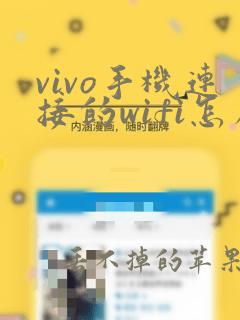 vivo手机连接的wifi怎么查看密码