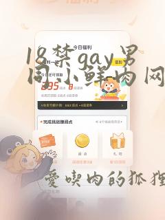 18禁gay男同小鲜肉网站